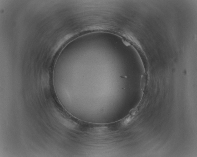 X0000068860108200605121927