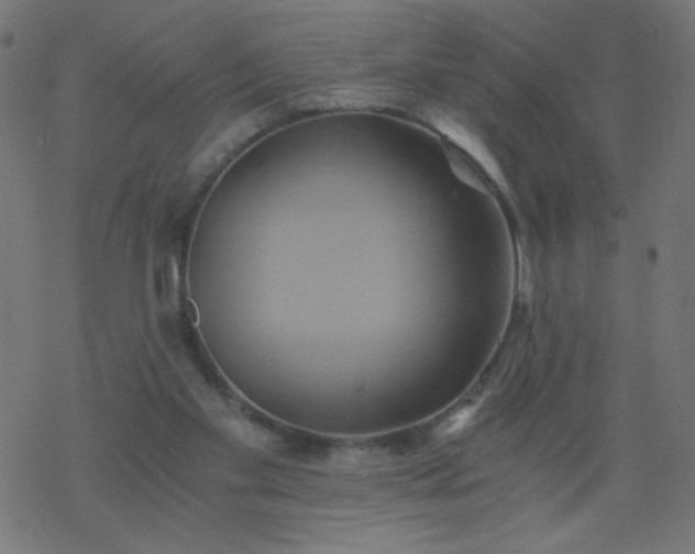 X0000068860109200605121927