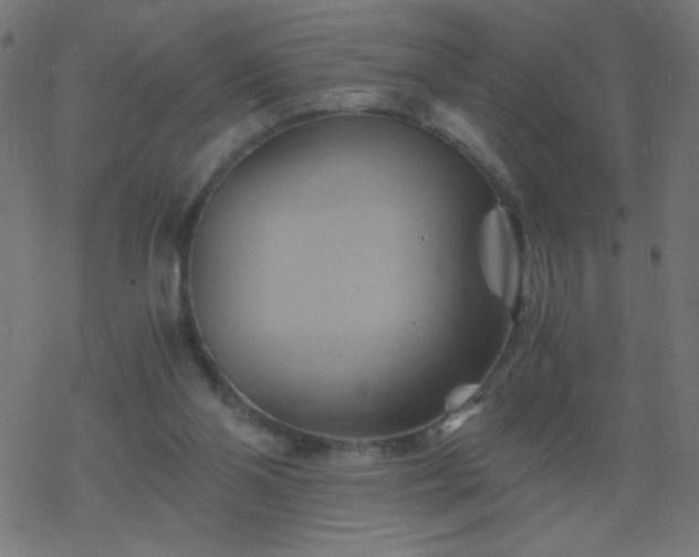 X0000068860110200605121927