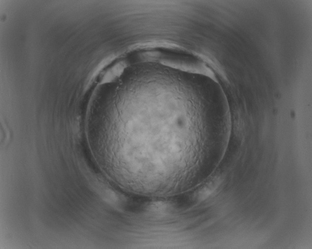 X0000068860111200605121927