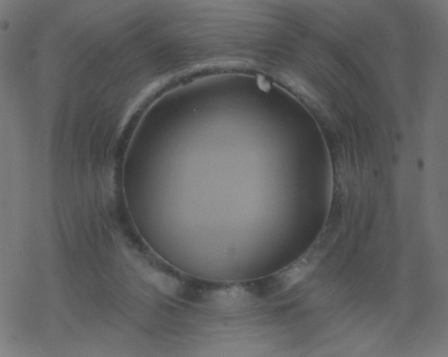 X0000068860112200605121927