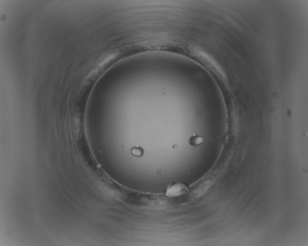 X0000068860113200605121927