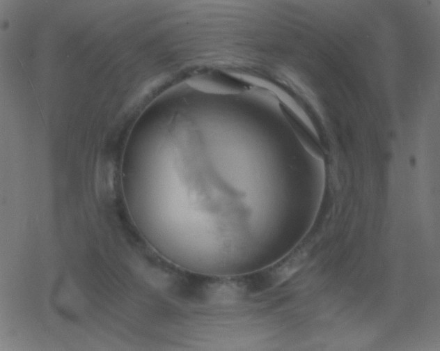 X0000068860115200605121927