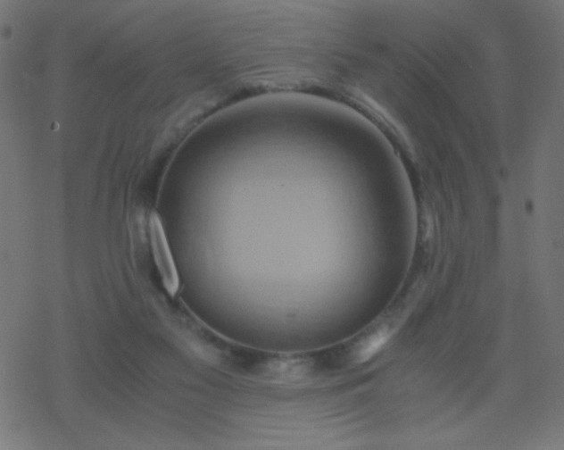 X0000068860117200605121927