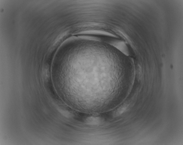 X0000068860119200605121927