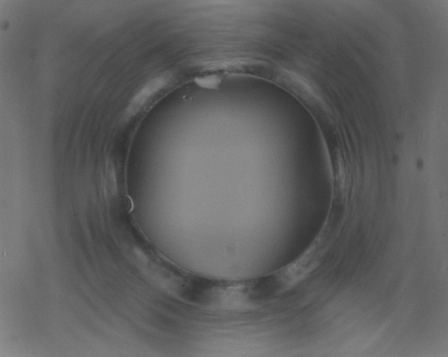 X0000068860120200605121927