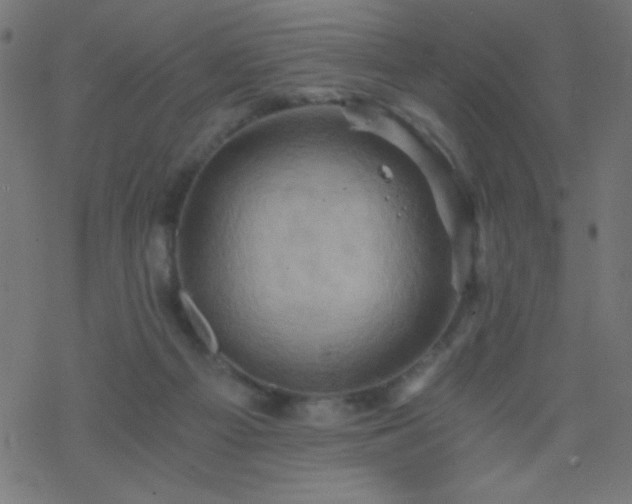 X0000068860121200605121927