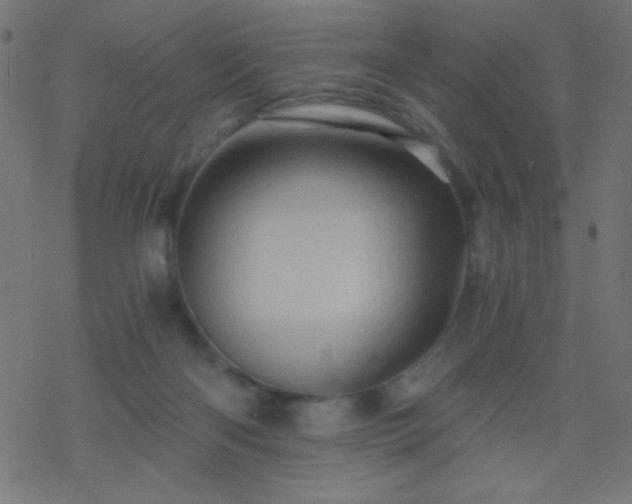 X0000068860122200605121927