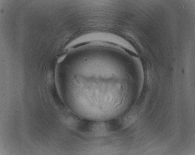 X0000068860123200605121927