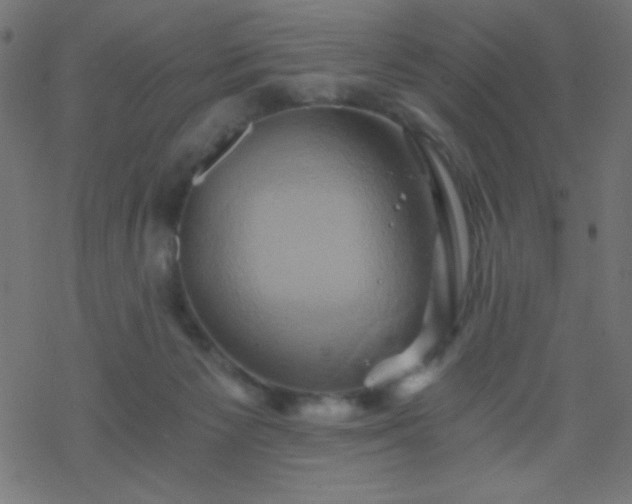 X0000068860125200605121927