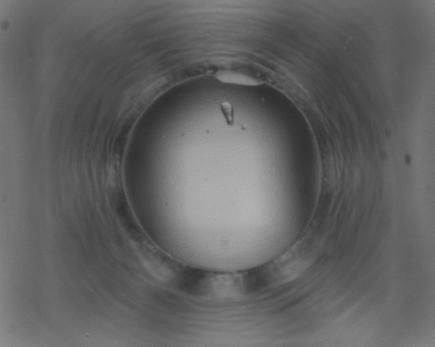 X0000068860126200605121927