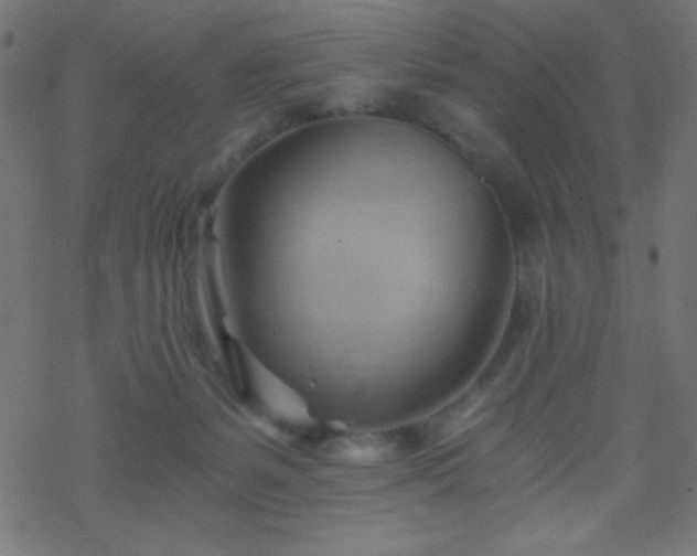 X0000068860127200605121927