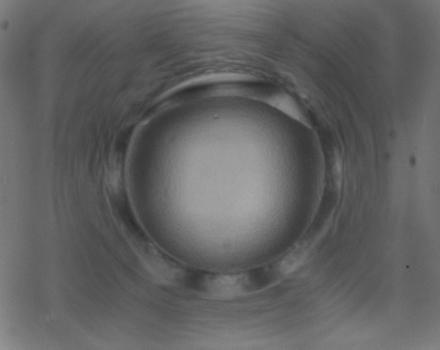 X0000068860129200605121927