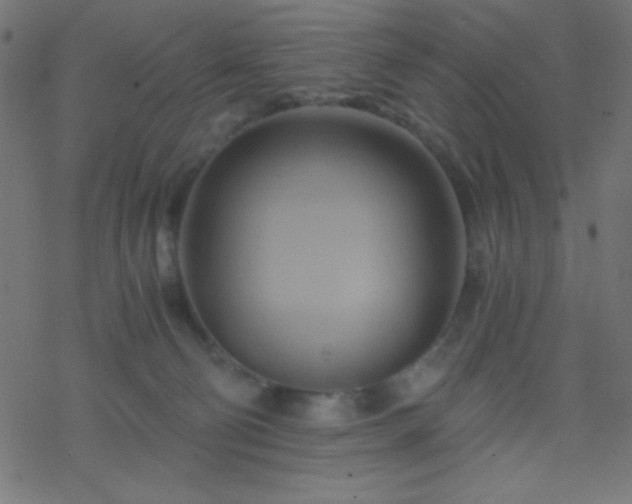 X0000068860130200605121927