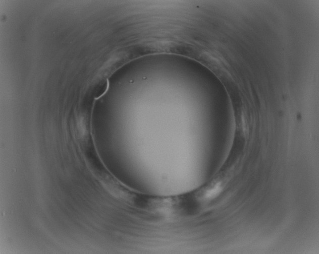 X0000068860131200605121927