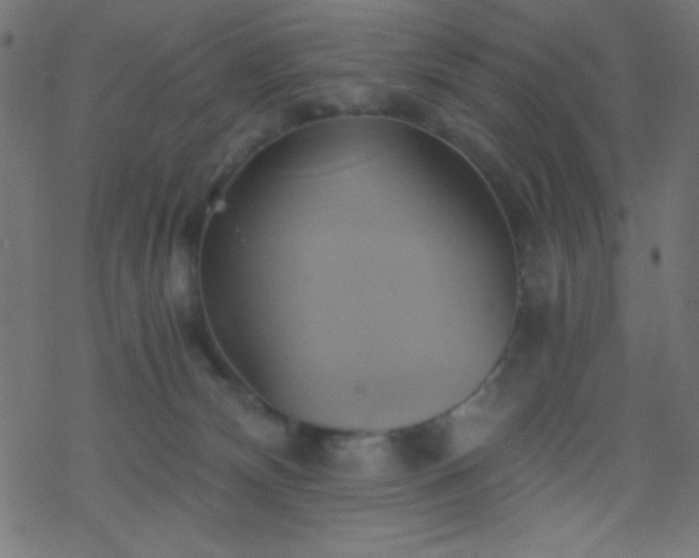 X0000068860132200605121927