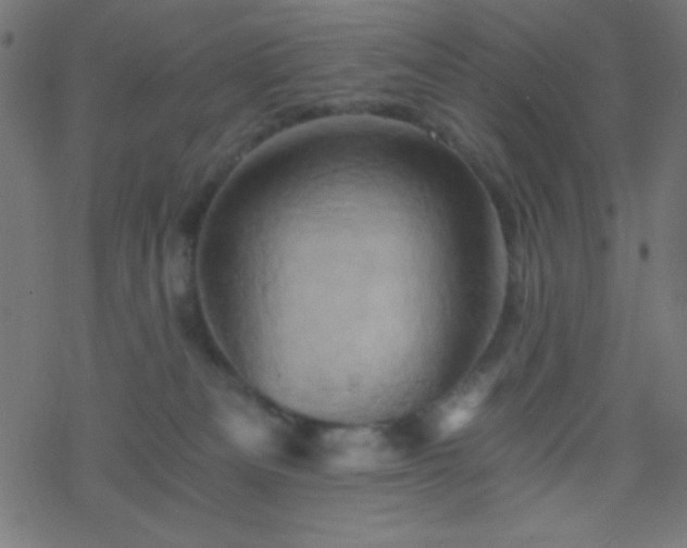 X0000068860133200605121927