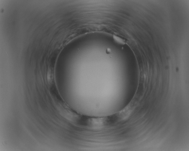 X0000068860134200605121927