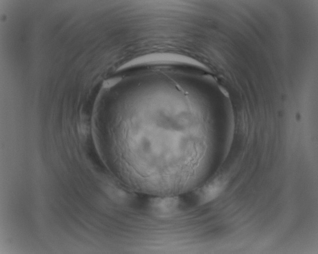 X0000068860135200605121927