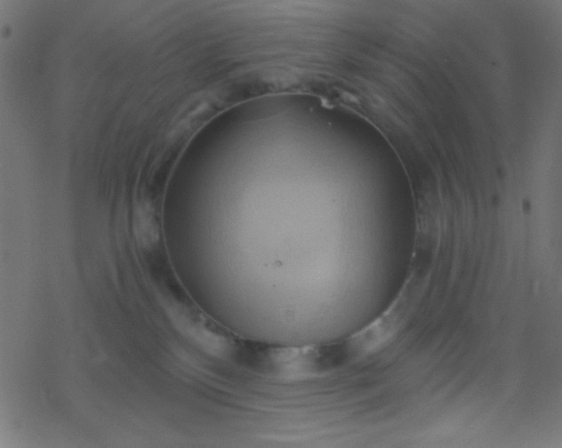 X0000068860136200605121927