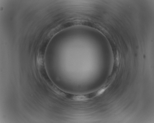 X0000068860137200605121927