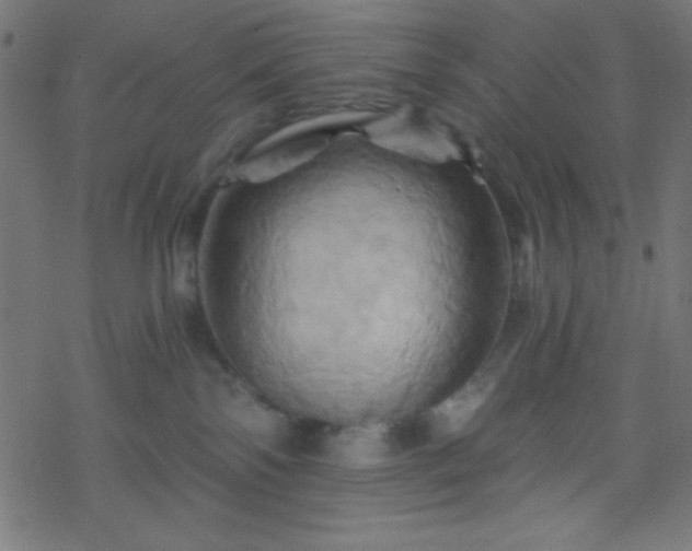 X0000068860138200605121927