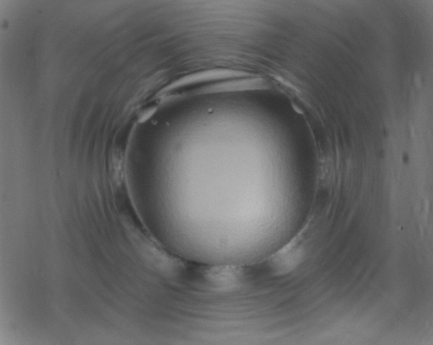 X0000068860142200605121927