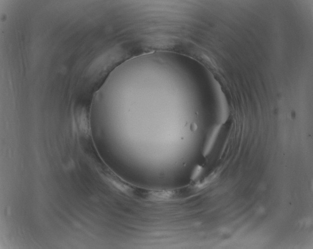 X0000068860143200605121926