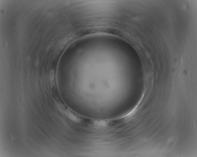 X0000068860144200605121926