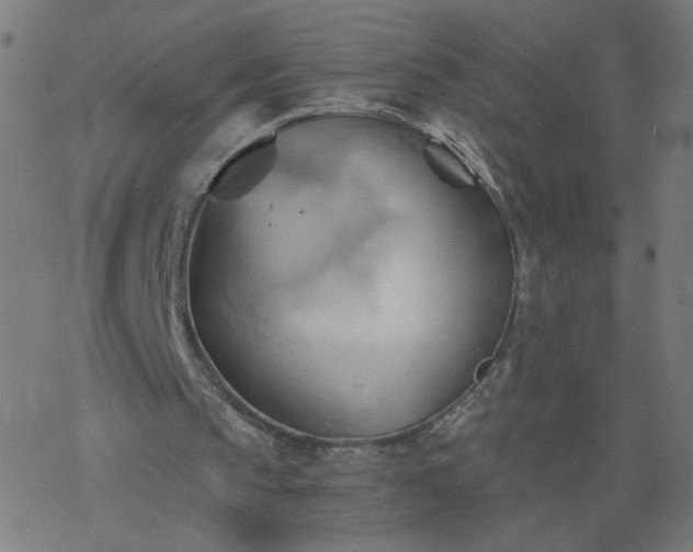 X0000068860145200605121926