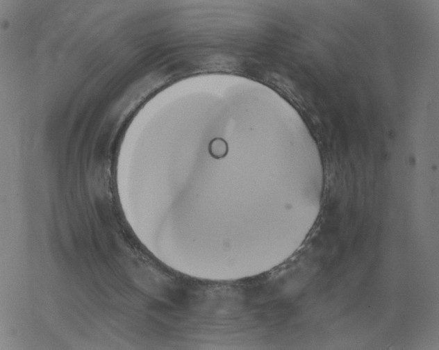 X0000068860146200605121926