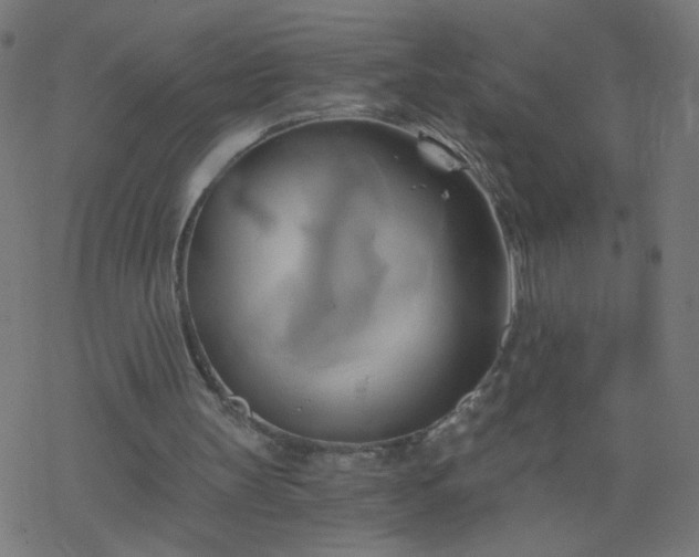 X0000068860147200605121926