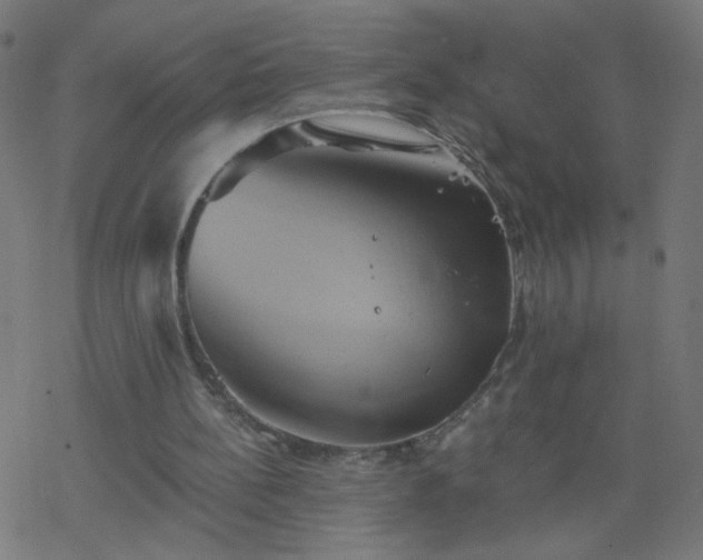 X0000068860148200605121926