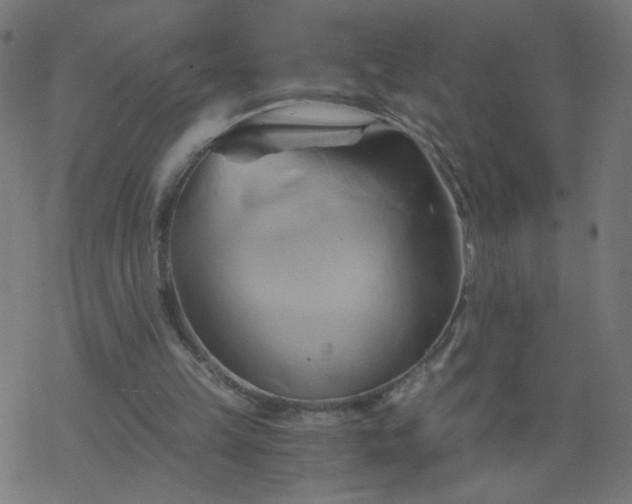 X0000068860149200605121926