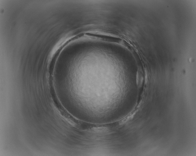 X0000068860150200605121926