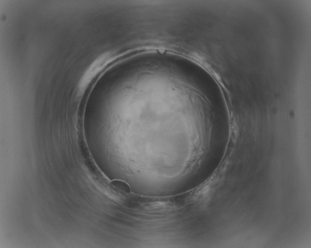 X0000068860151200605121926