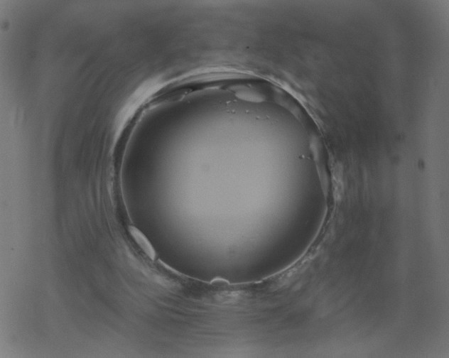 X0000068860152200605121926