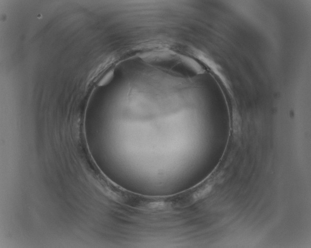 X0000068860153200605121926