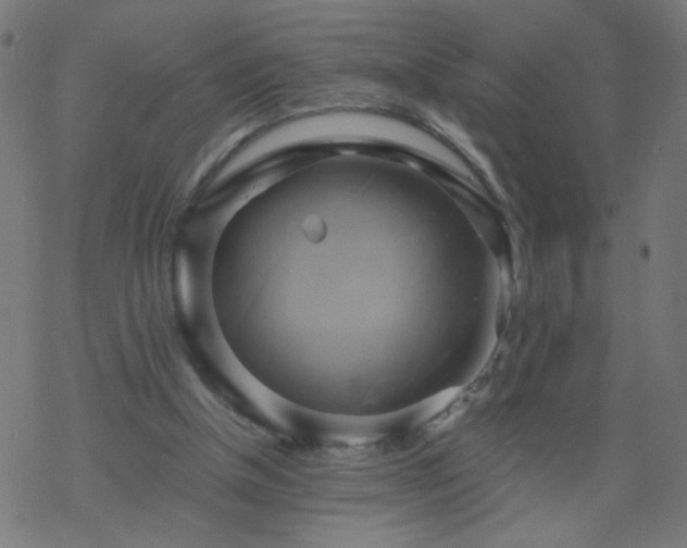 X0000068860154200605121926