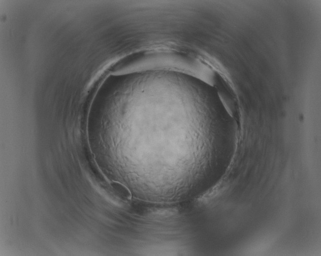 X0000068860155200605121926