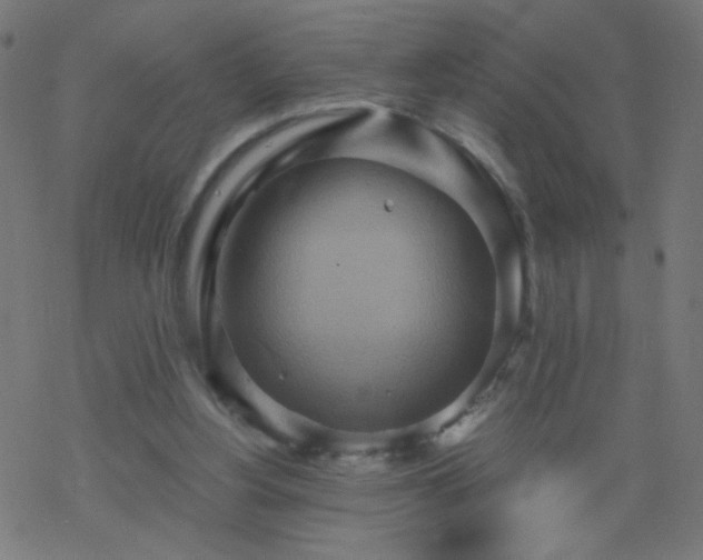 X0000068860156200605121926