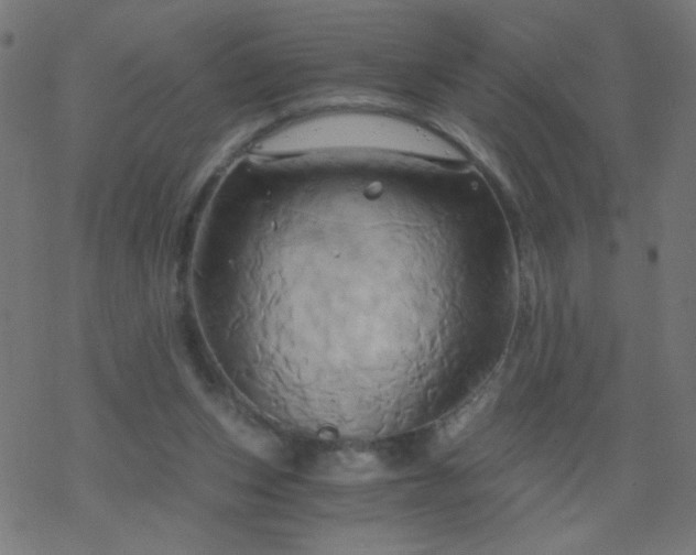 X0000068860159200605121926