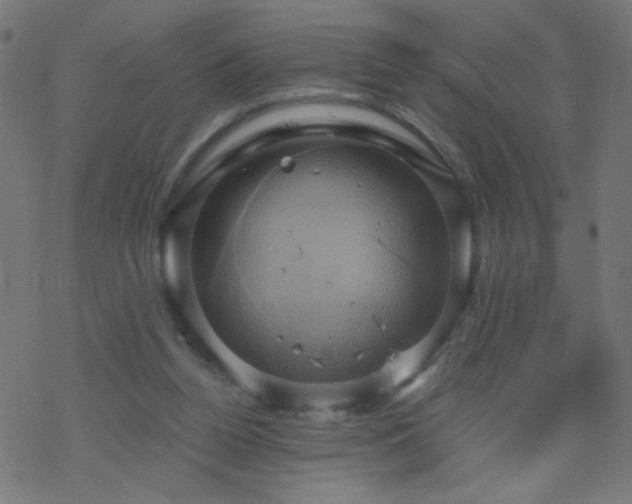 X0000068860160200605121926