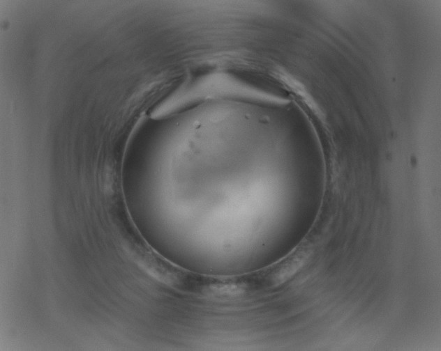 X0000068860161200605121926