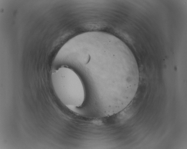 X0000068860162200605121926