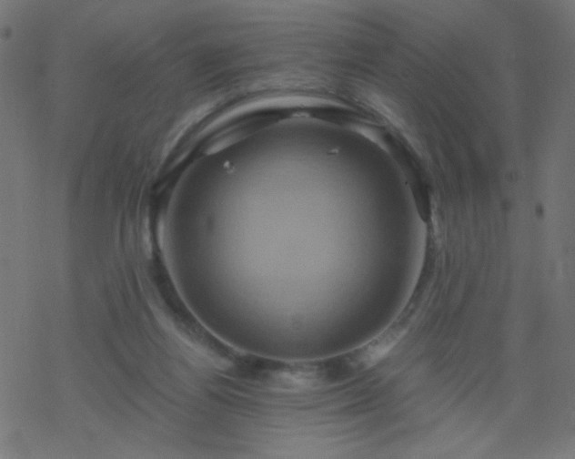 X0000068860164200605121926