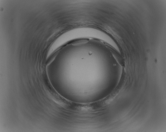 X0000068860165200605121926