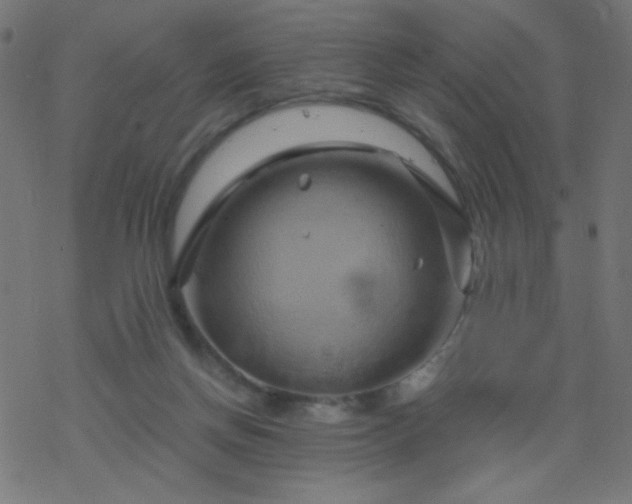 X0000068860166200605121926