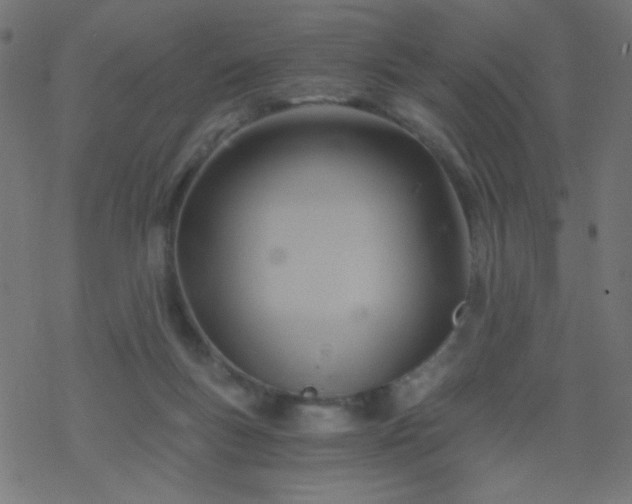 X0000068860167200605121926