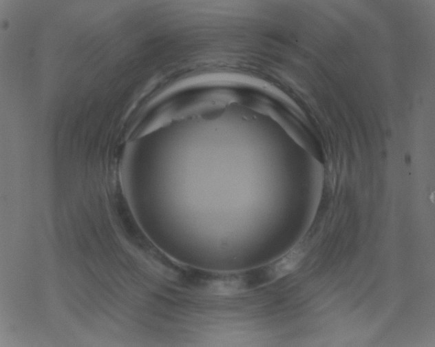 X0000068860168200605121926